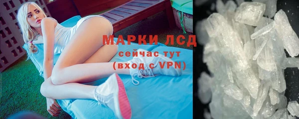 прущие грибы Новокубанск