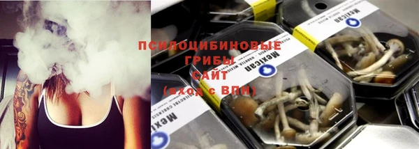 МДПВ Нязепетровск