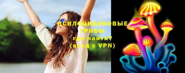 прущие грибы Новокубанск