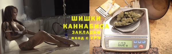 прущие грибы Новокубанск