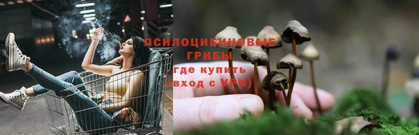 МДПВ Нязепетровск
