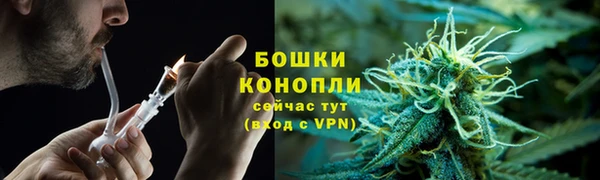 MDMA Новозыбков