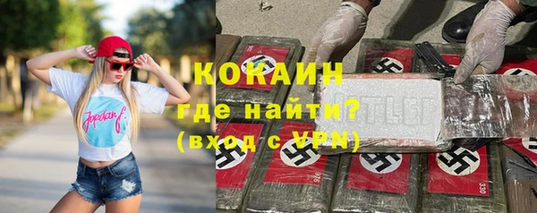 прущие грибы Новокубанск