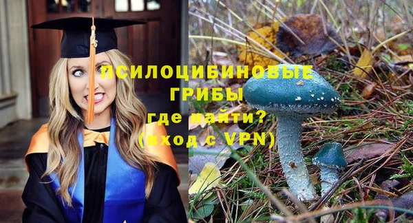 бутират Нягань