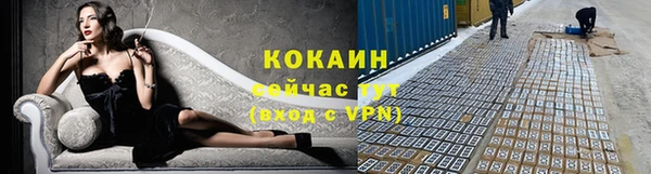 ALPHA PVP Няндома