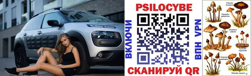купить закладку  Краснокамск  Галлюциногенные грибы Cubensis 
