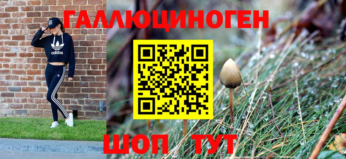 Краснокамск  Псилоцибиновые грибы Magic Shrooms  Псилоцибиновые грибы Psilocybine cubensis  Вход с VPN 